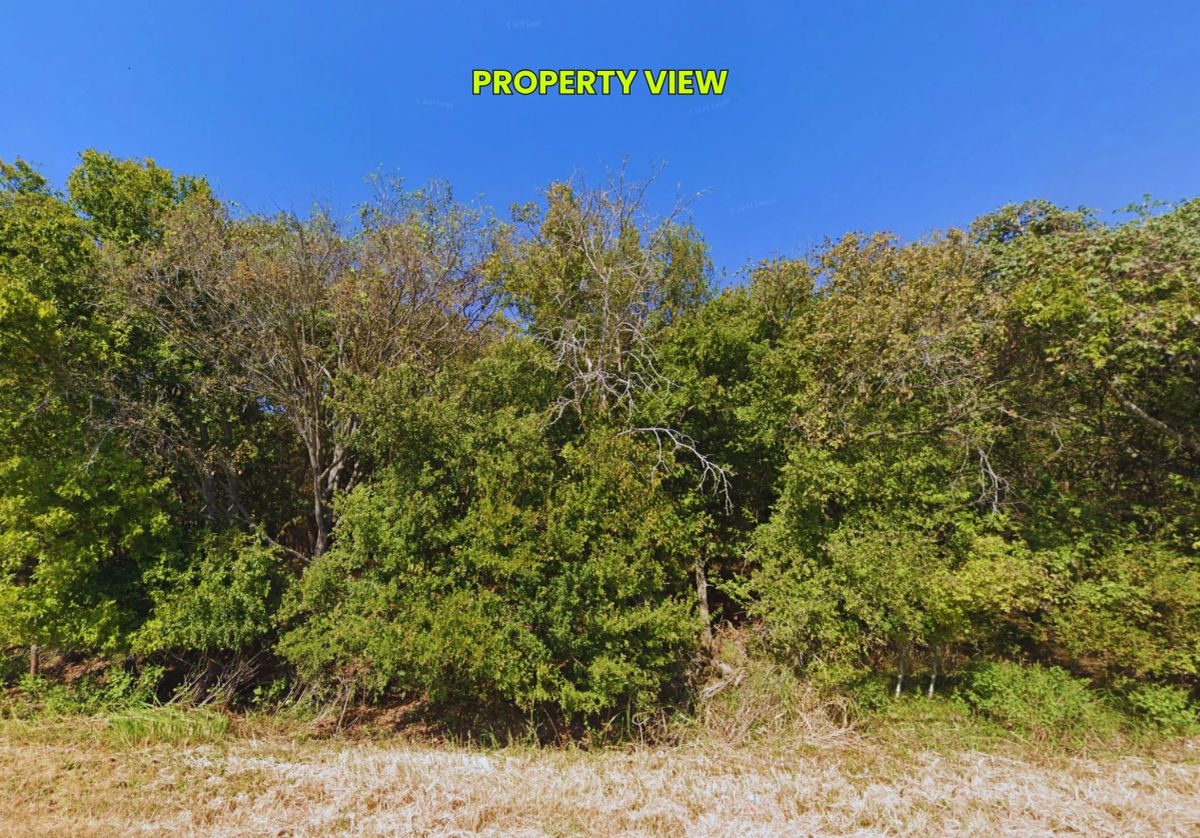 Decorative background for 1 Acre Vacant Land - No HOA Fees - No Subdivision Restrictions - Allows Mobile / Manufactured Homes - $100k+ Value for $50k - Owner Financing Available! image 5