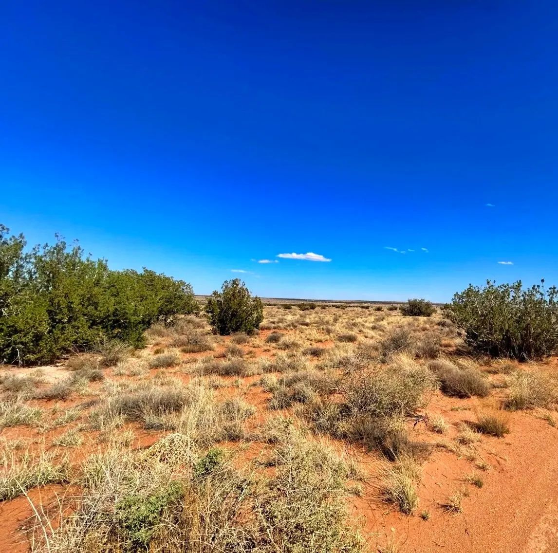 Your Tranquil Retirement Awaits on 1.27 Acres in Snowflake, Arizona! - Image 3