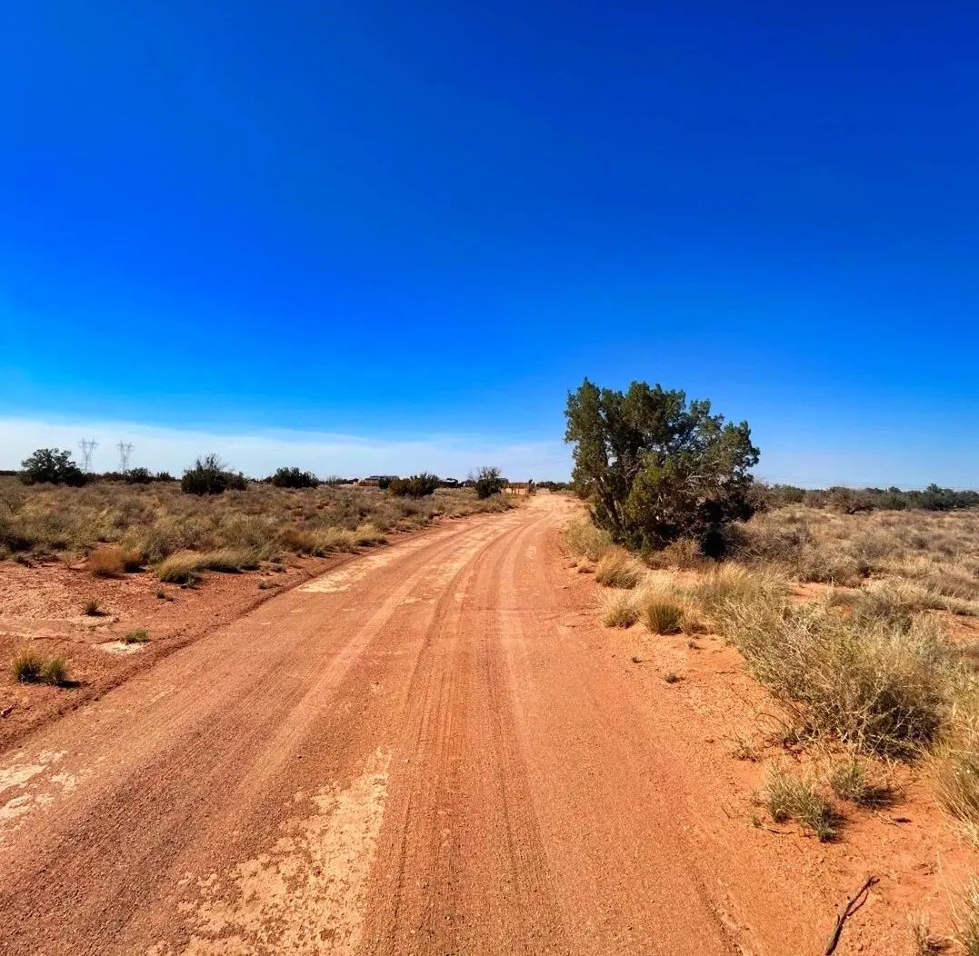 Your Tranquil Retirement Awaits on 1.27 Acres in Snowflake, Arizona! - Image 4