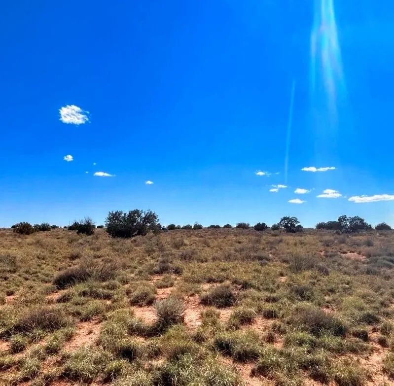 Decorative background for Your Tranquil Retirement Awaits on 1.27 Acres in Snowflake, Arizona! image 7