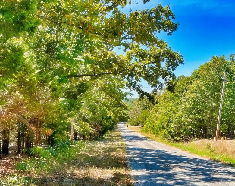 Affordable Lake Life, Endless Recreation in Izard County, AR