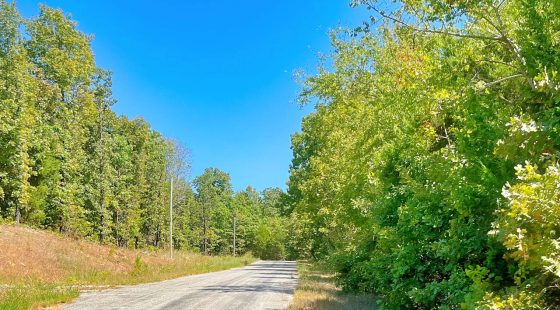 Affordable Lake Life, Endless Recreation in Izard County, AR