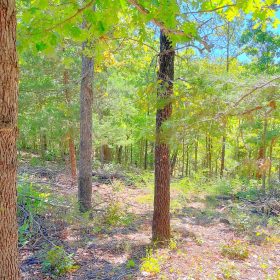Affordable Lake Life, Endless Recreation in Izard County, AR