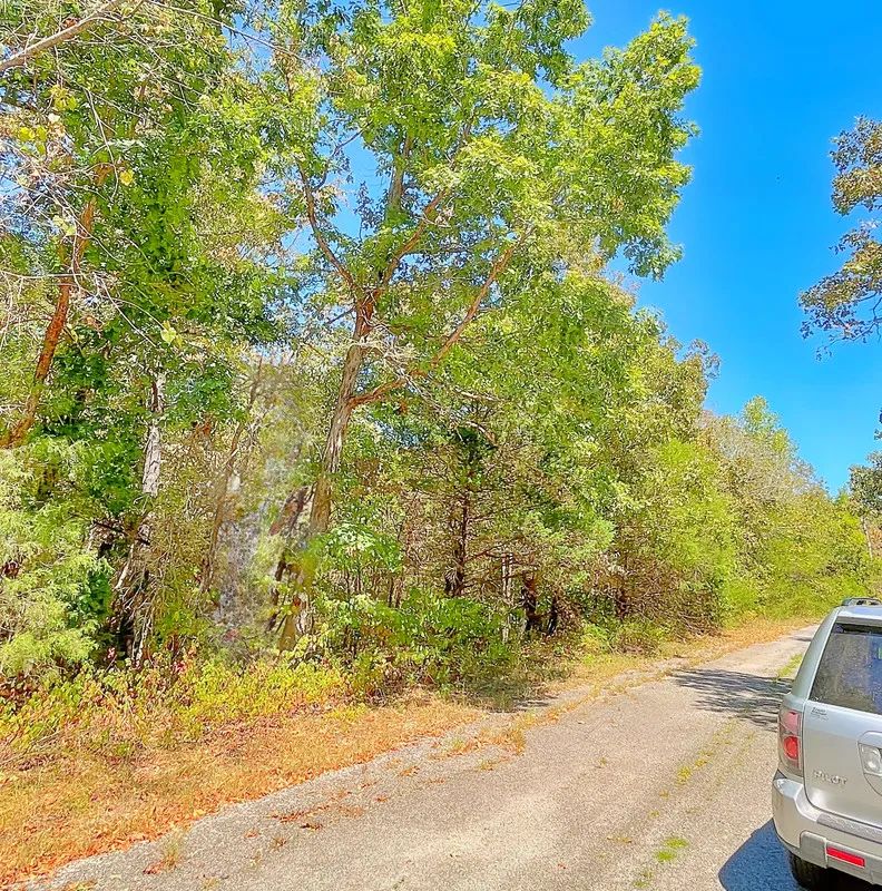 See Crown Lake Sparkle From Your Street — Own It Today - Main image