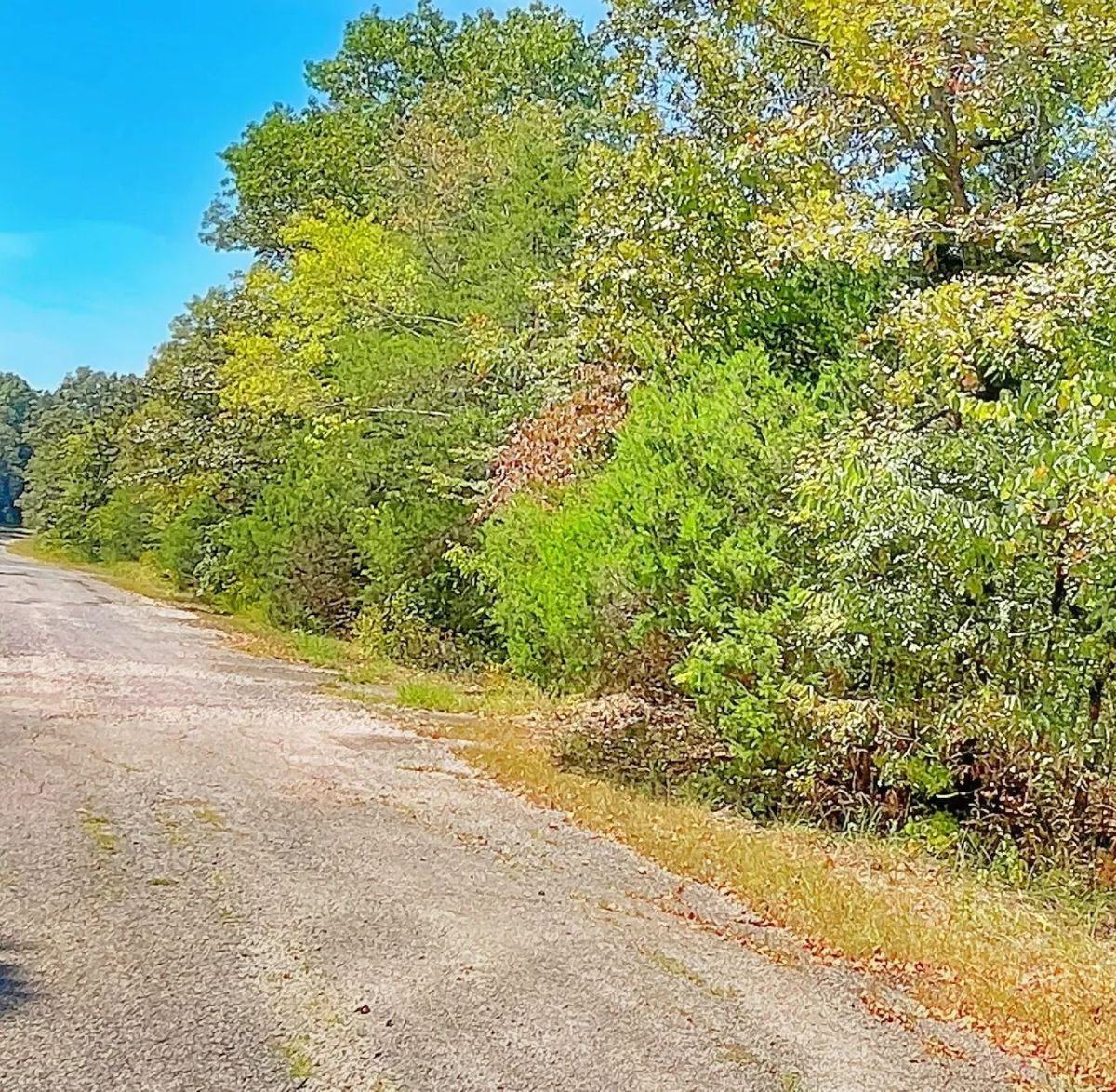 See Crown Lake Sparkle From Your Street — Own It Today - Image 2
