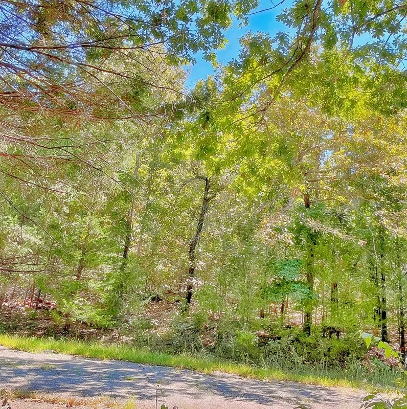 Decorative background for See Crown Lake Sparkle From Your Street — Own It Today image 6