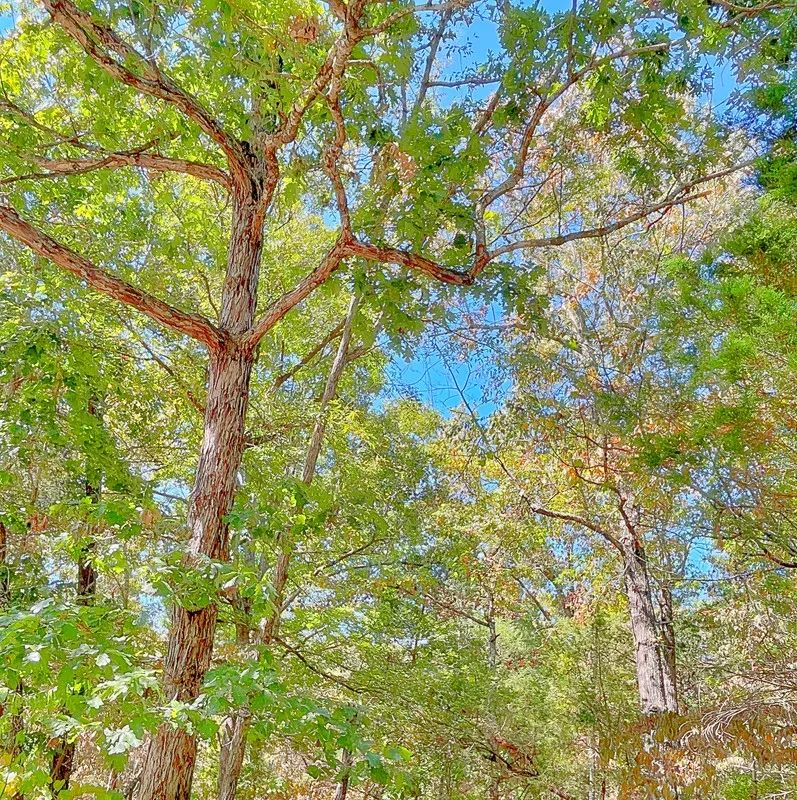 Decorative background for See Crown Lake Sparkle From Your Street — Own It Today image 8