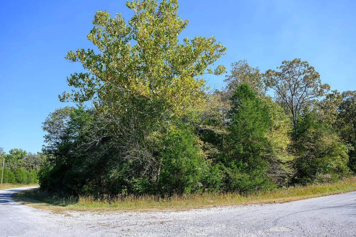 Buy your summer vacation property - 2 minutes from Crown Pier! - Main image