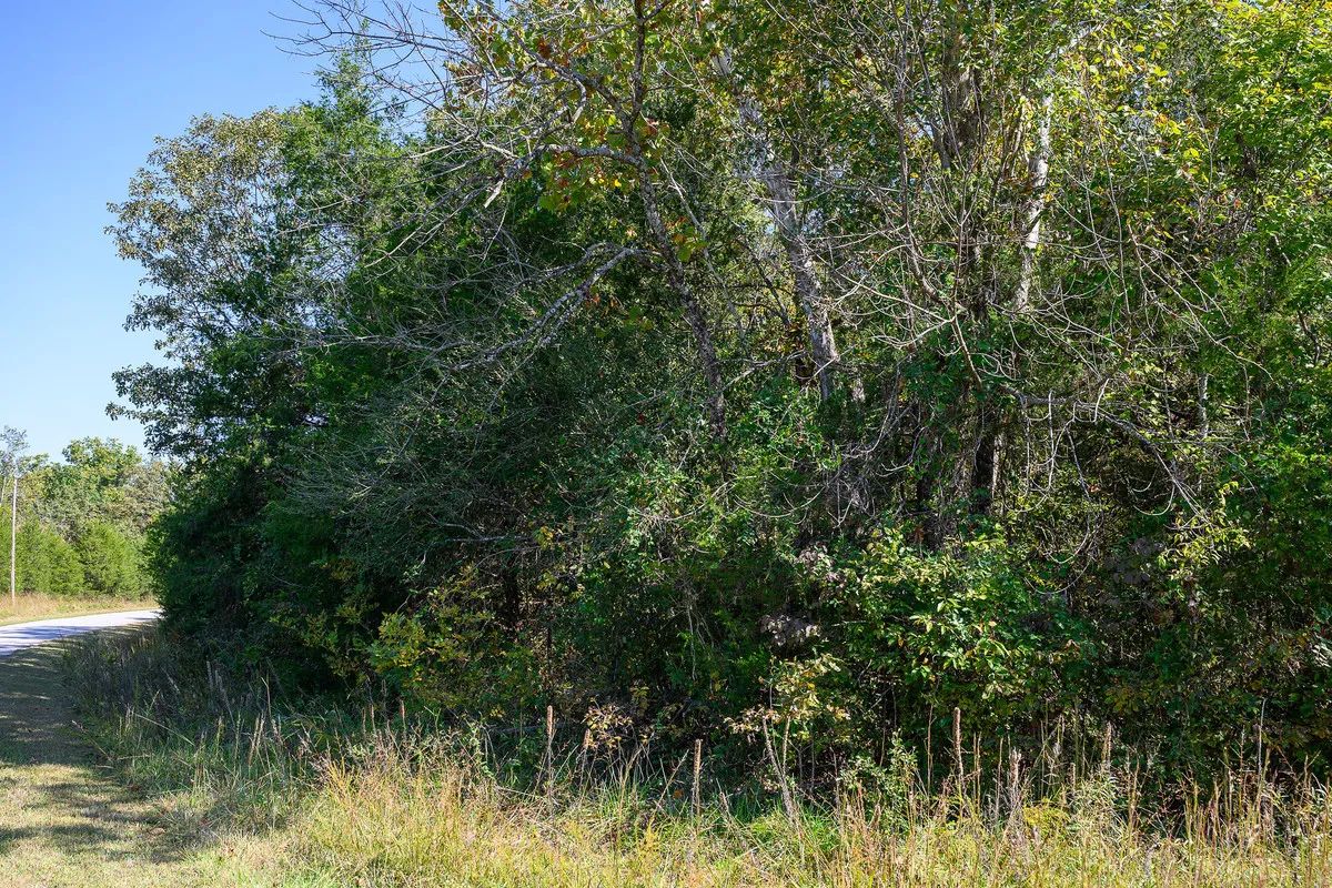 Buy your summer vacation property - 2 minutes from Crown Pier! - Image 3