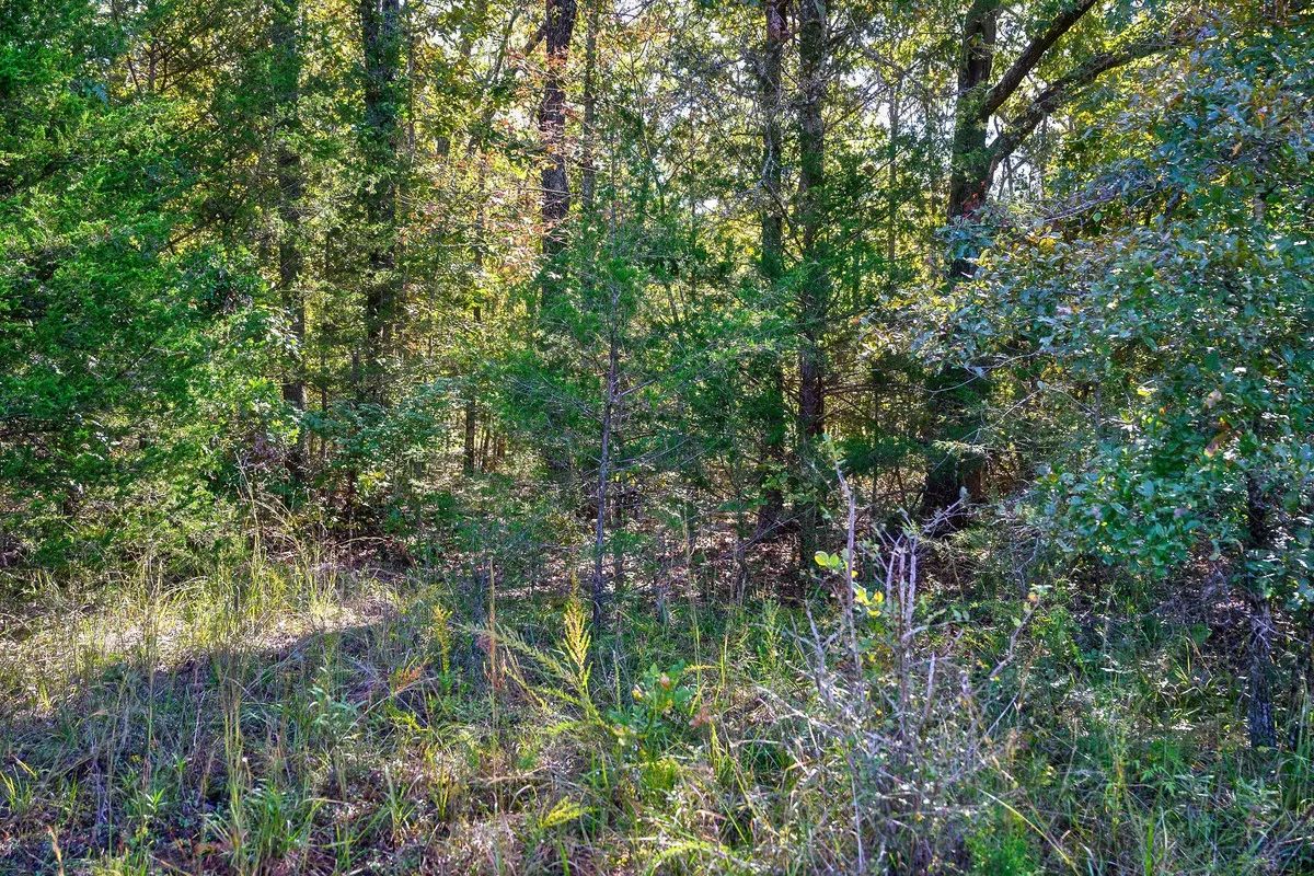 Decorative background for Buy your summer vacation property - 2 minutes from Crown Pier! image 5