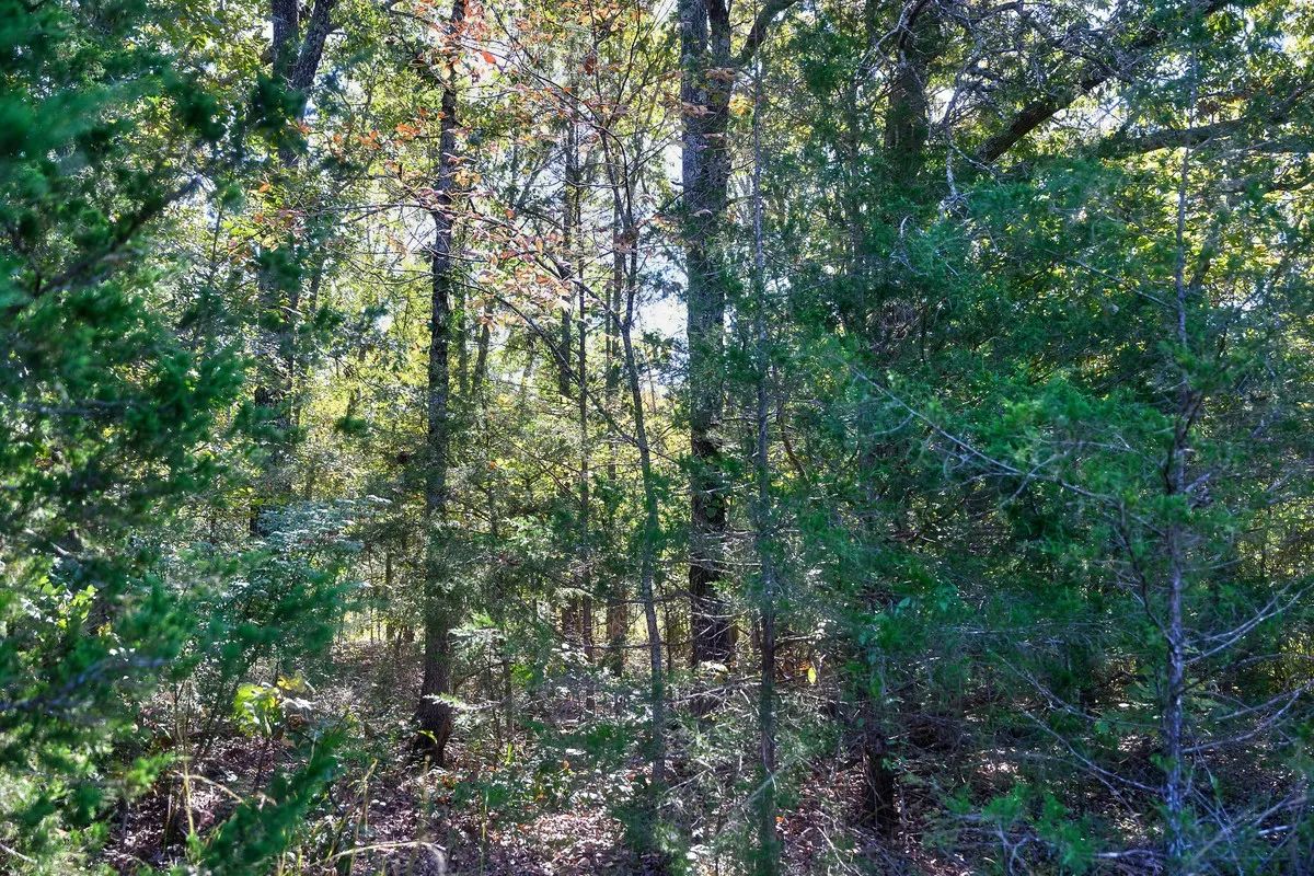 Decorative background for Buy your summer vacation property - 2 minutes from Crown Pier! image 6