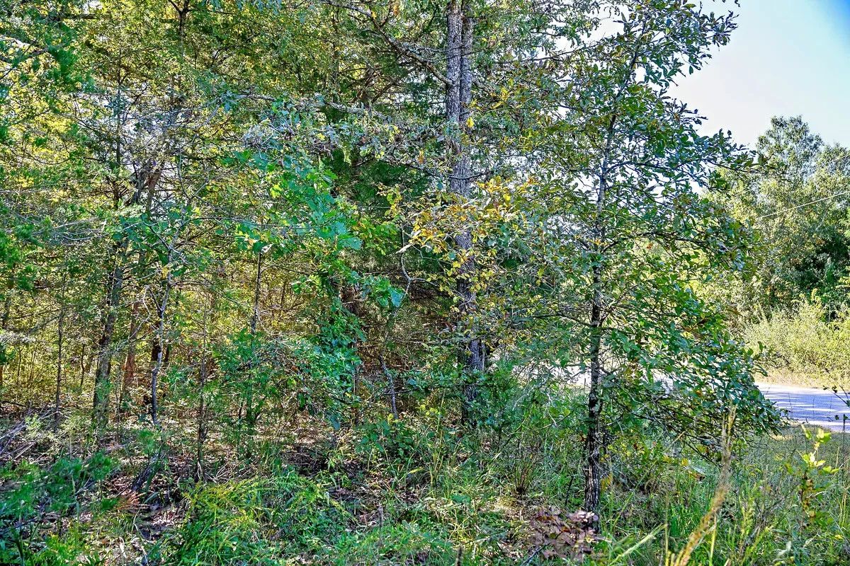 Decorative background for Buy your summer vacation property - 2 minutes from Crown Pier! image 7