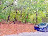 Your First Piece of Land, Between Two Beautiful Ozark Lakes