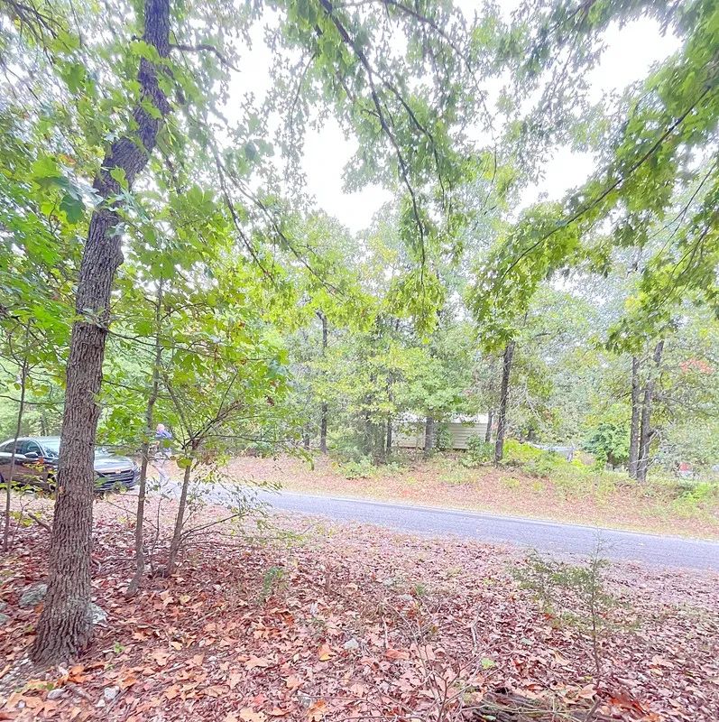 Your First Piece of Land, Between Two Beautiful Ozark Lakes - Image 3