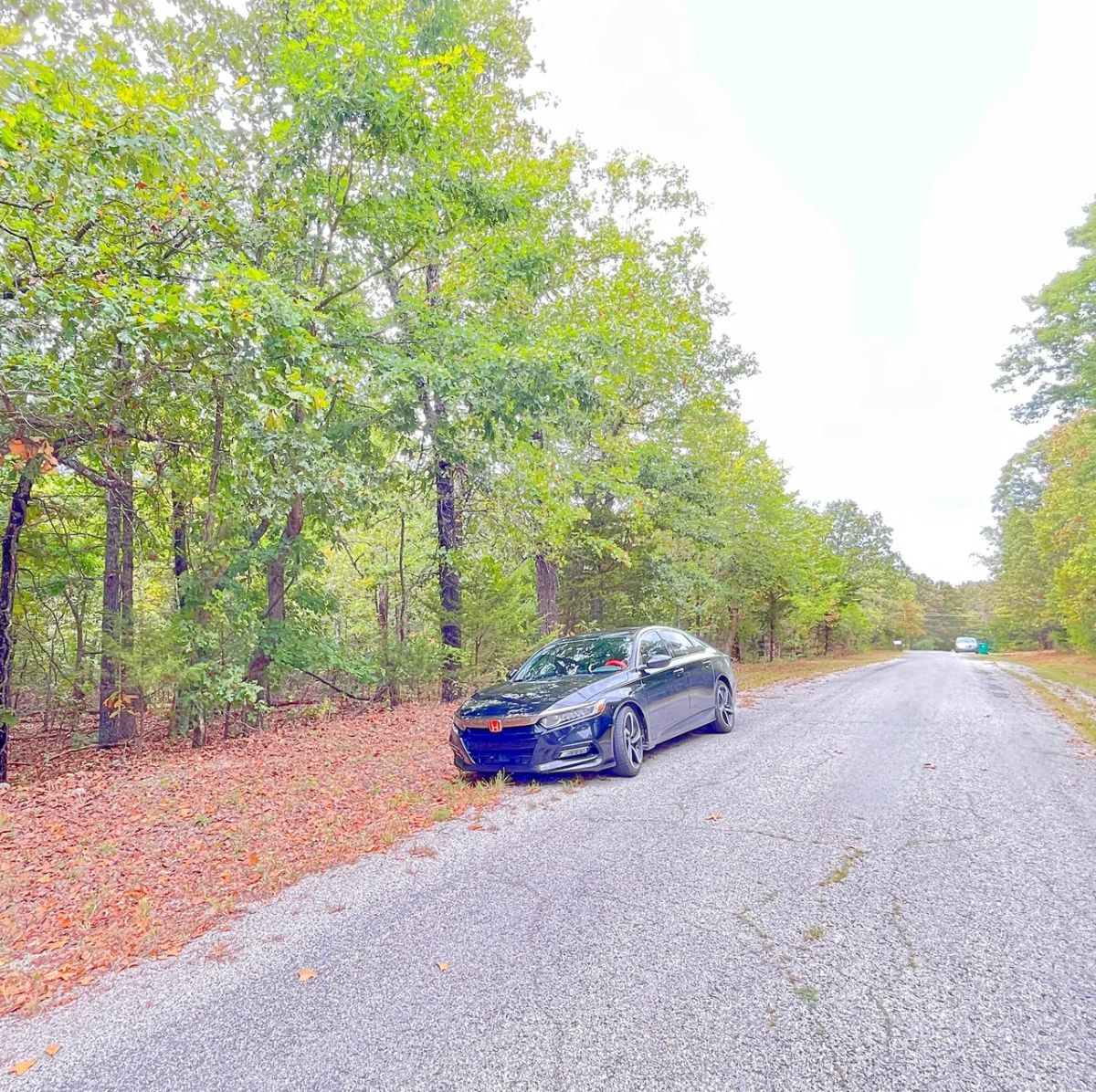 Your First Piece of Land, Between Two Beautiful Ozark Lakes - Image 4
