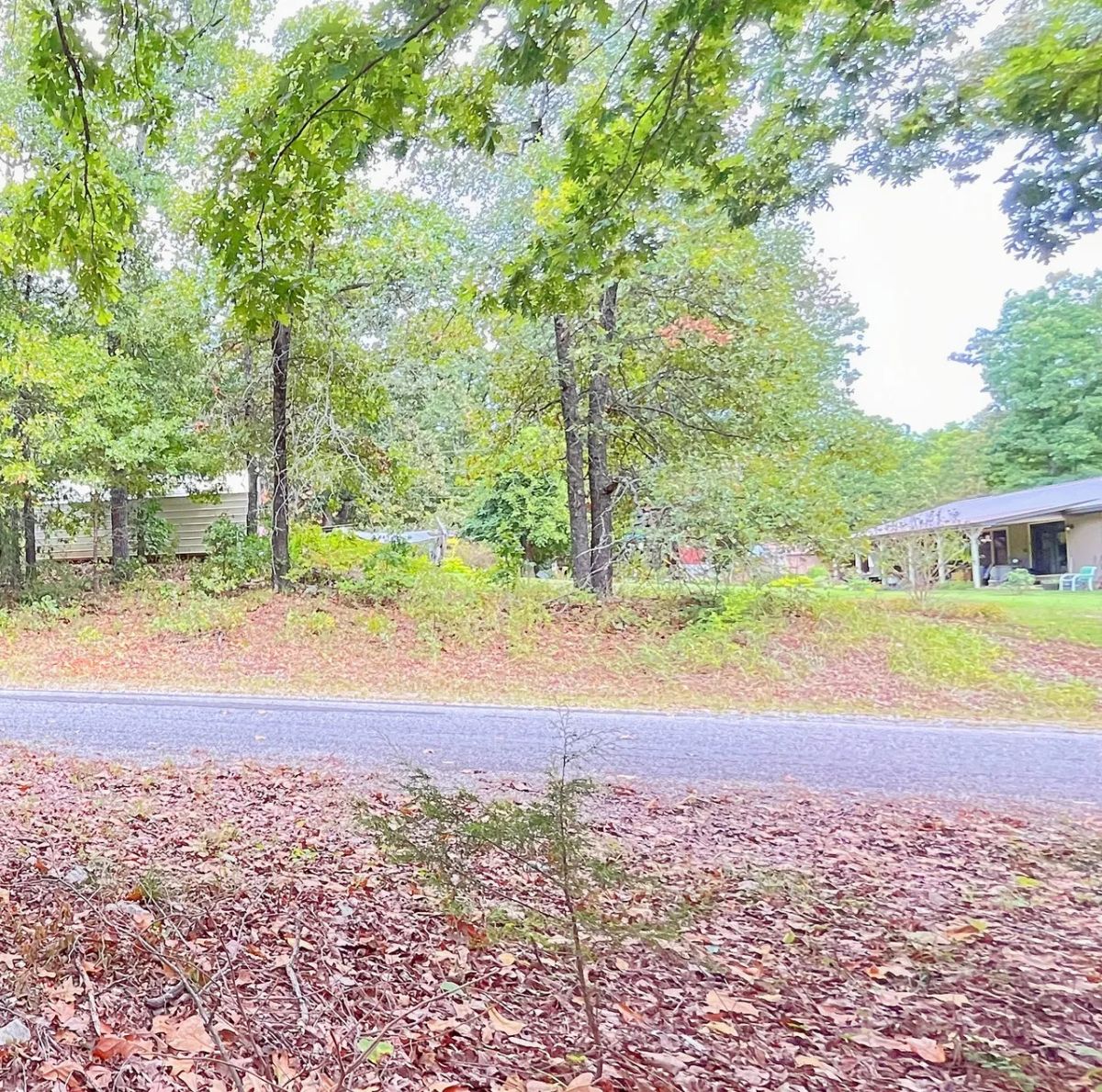 Decorative background for Your First Piece of Land, Between Two Beautiful Ozark Lakes image 5