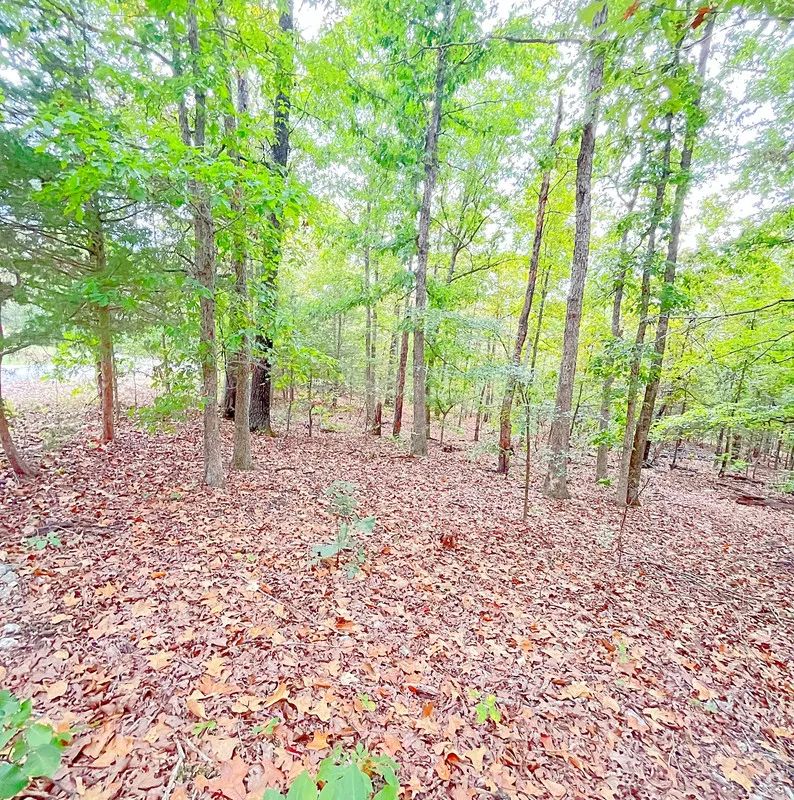 Decorative background for Your First Piece of Land, Between Two Beautiful Ozark Lakes image 7