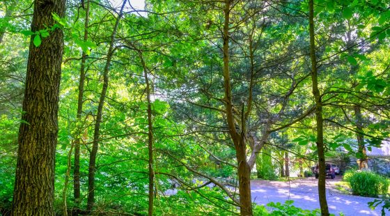 π‘ Build Your Family's Dream Lake Retreat in Beautiful Horseshoe Bend! π‘ in Izard County, AR