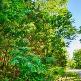 π‘ Build Your Family's Dream Lake Retreat in Beautiful Horseshoe Bend! π‘ in Izard County, AR