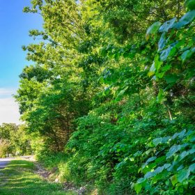 π‘ Build Your Family's Dream Lake Retreat in Beautiful Horseshoe Bend! π‘ in Izard County, AR