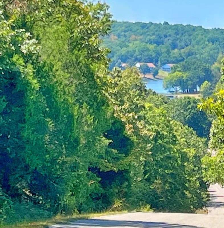 Affordable Lake Life with a View That Inspires in Izard County, AR