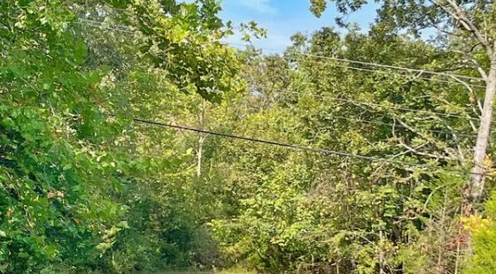Crown Lake Pier Will Be On Your Street in Izard County, AR