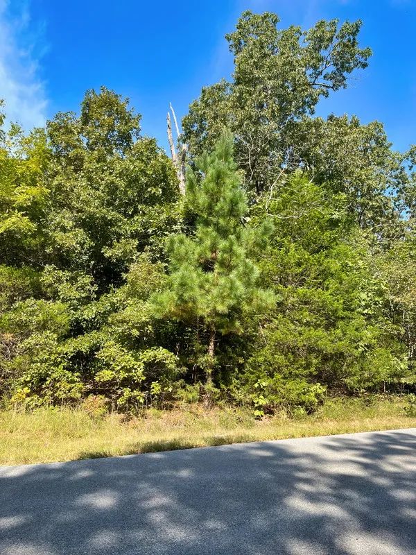 Crown Lake Pier Will Be On Your Street in Izard County, AR