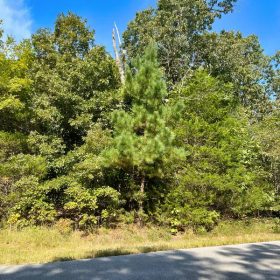 Crown Lake Pier Will Be On Your Street in Izard County, AR