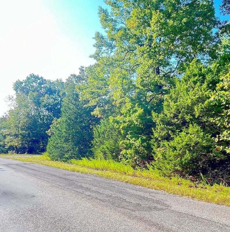 Private Corner Lot Near Diamond Lake + 2 Adjoining Lots = 1.1 Acres - Image 2