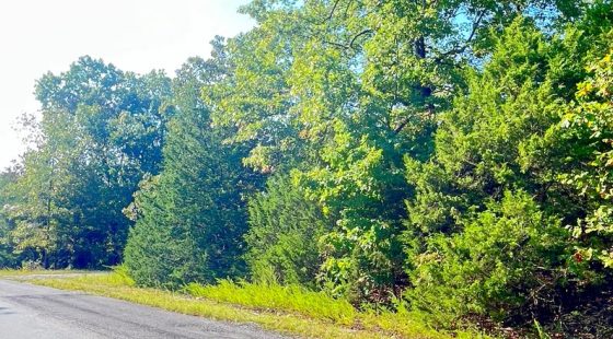 Private Corner Lot Near Diamond Lake + 2 Adjoining Lots = 1.1 Acres in Izard County, AR