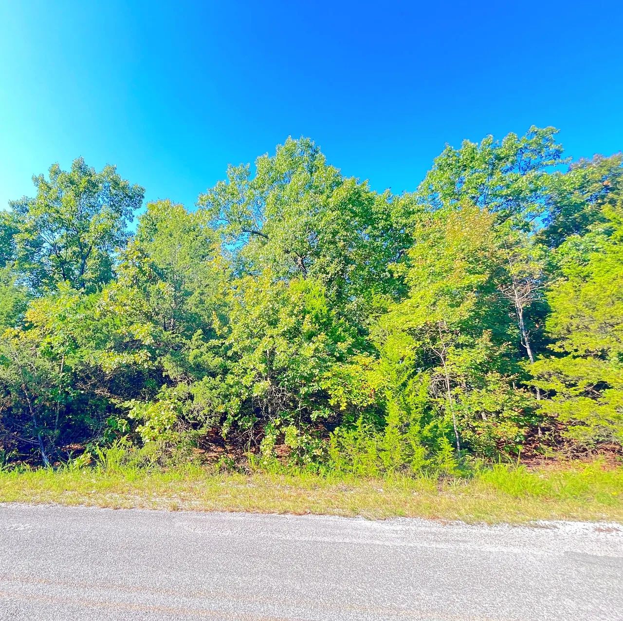 Private Corner Lot Near Diamond Lake + 2 Adjoining Lots = 1.1 Acres in Izard County, AR