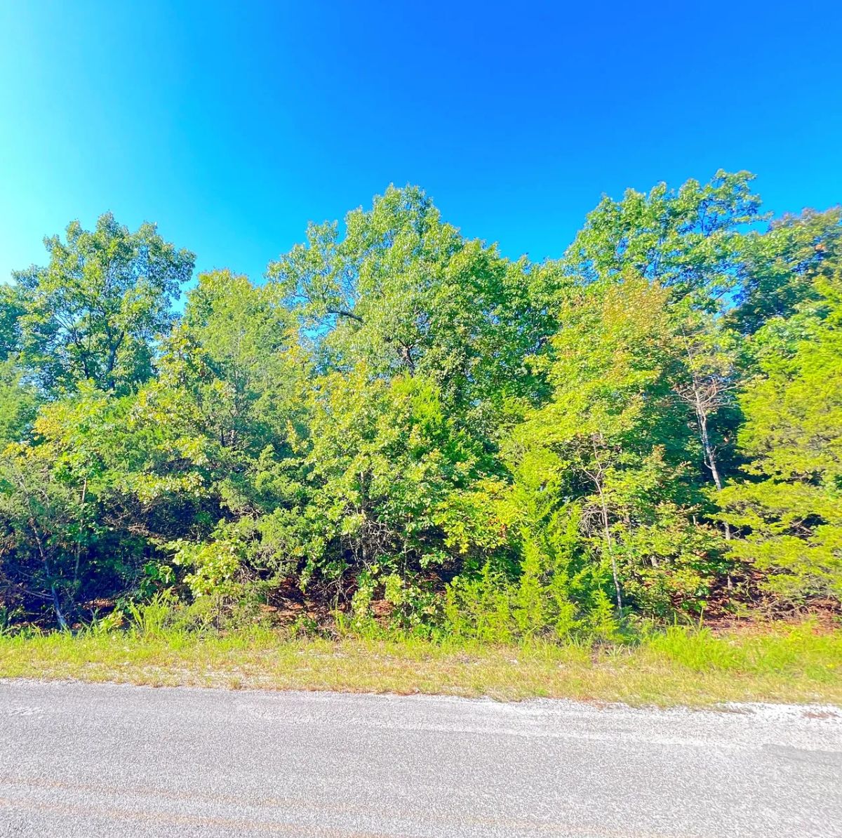 Private Corner Lot Near Diamond Lake + 2 Adjoining Lots = 1.1 Acres - Image 3