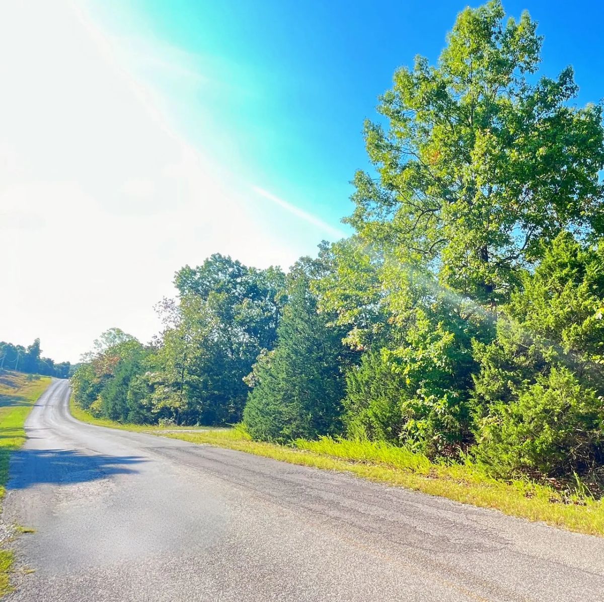 Decorative background for Private Corner Lot Near Diamond Lake + 2 Adjoining Lots = 1.1 Acres image 5