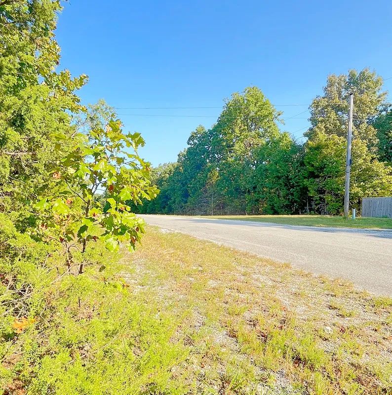 Decorative background for Private Corner Lot Near Diamond Lake + 2 Adjoining Lots = 1.1 Acres image 6