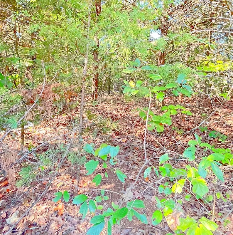 Decorative background for Private Corner Lot Near Diamond Lake + 2 Adjoining Lots = 1.1 Acres image 7