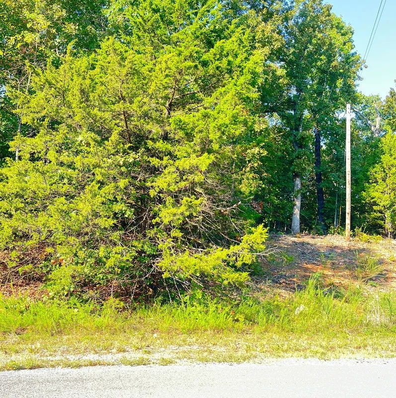Decorative background for Private Corner Lot Near Diamond Lake + 2 Adjoining Lots = 1.1 Acres image 8