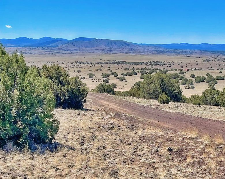 Chickens in the Yard and Mountains in every direction! in Apache County, AZ