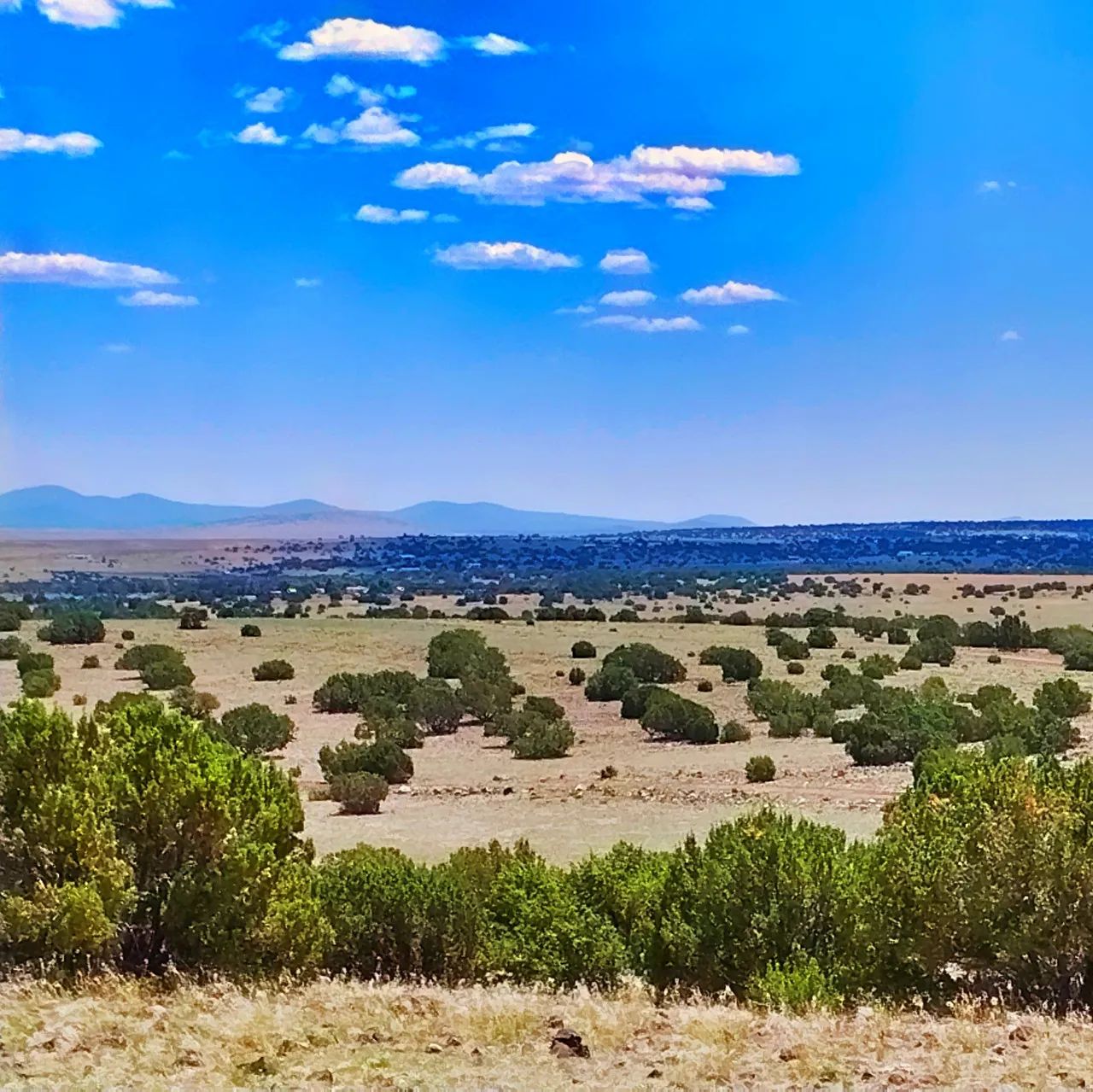Chickens in the Yard and Mountains in every direction! in Apache County, AZ