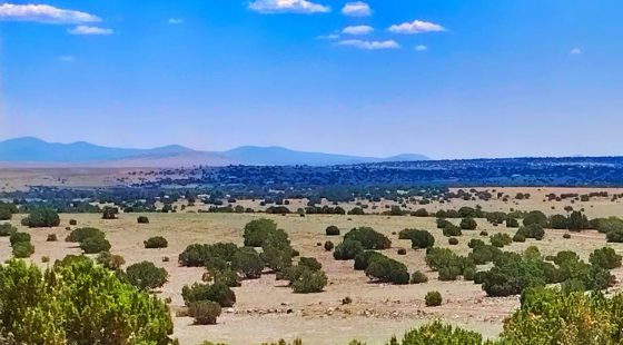 Chickens in the Yard and Mountains in every direction! in Apache County, AZ