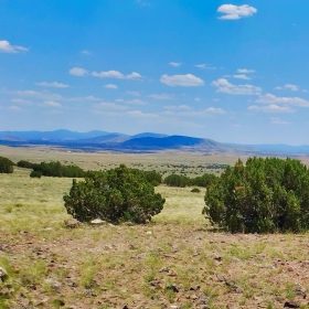 Chickens in the Yard and Mountains in every direction! in Apache County, AZ