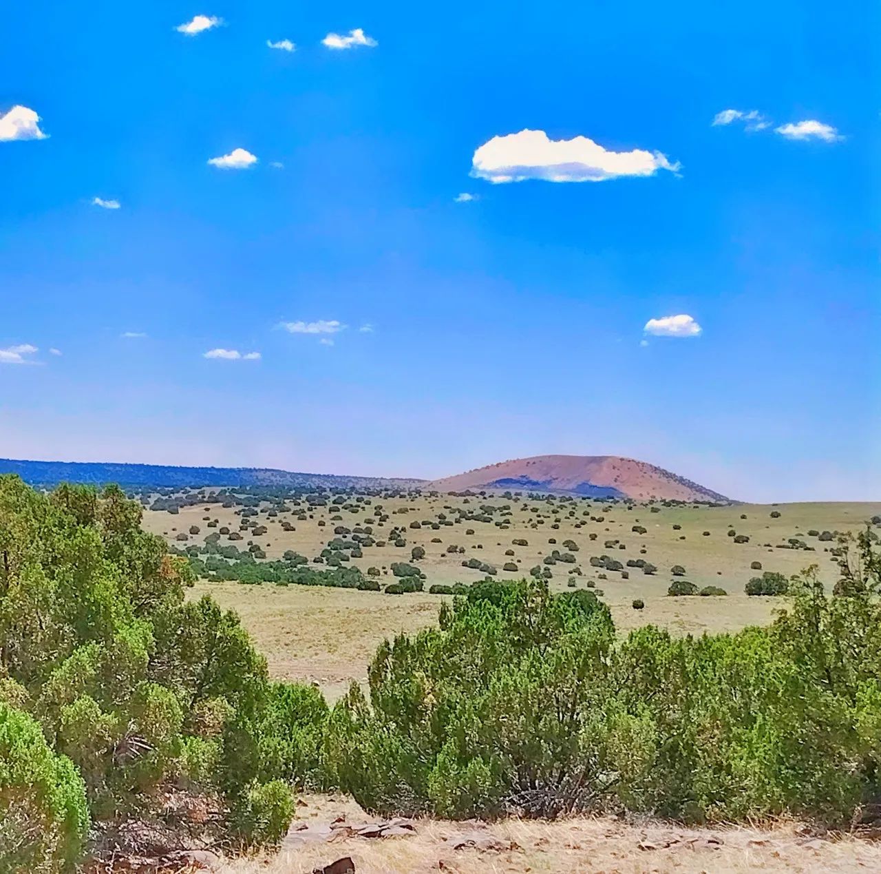 Chickens in the Yard and Mountains in every direction! in Apache County, AZ