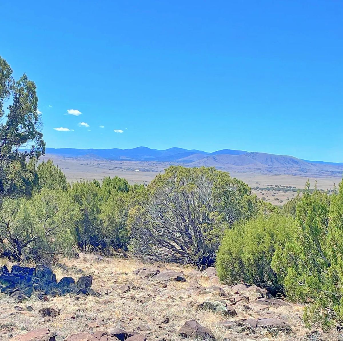 Decorative background for Chickens in the Yard and Mountains in every direction! image 7
