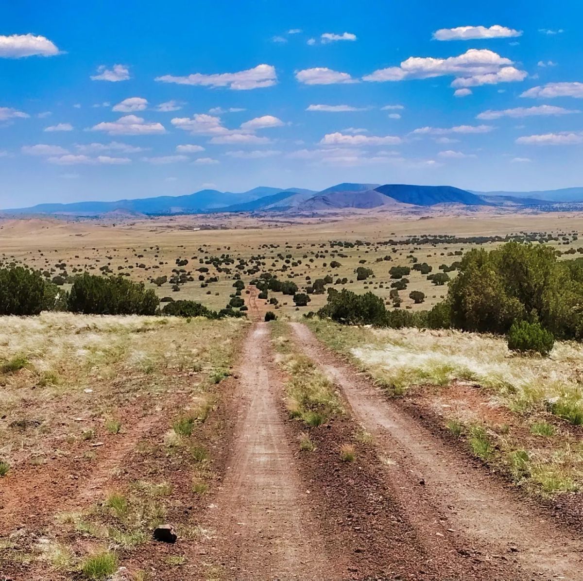 Decorative background for Chickens in the Yard and Mountains in every direction! image 8