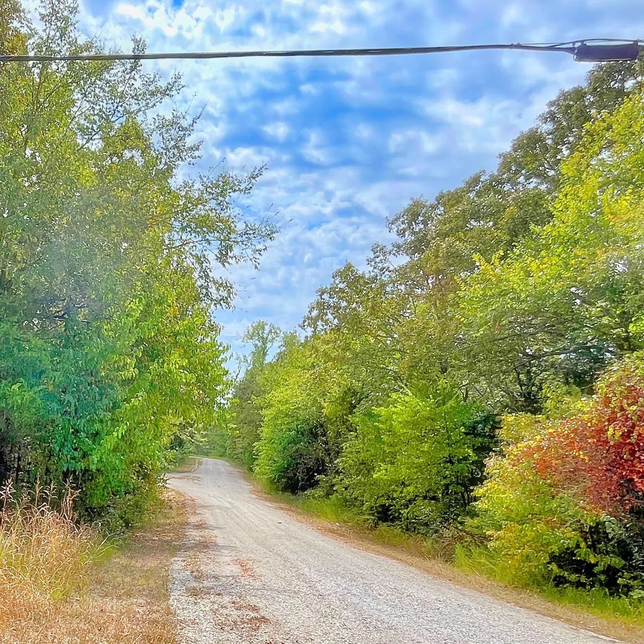 Where Family Memories Meet Lake Life in Izard County, AR
