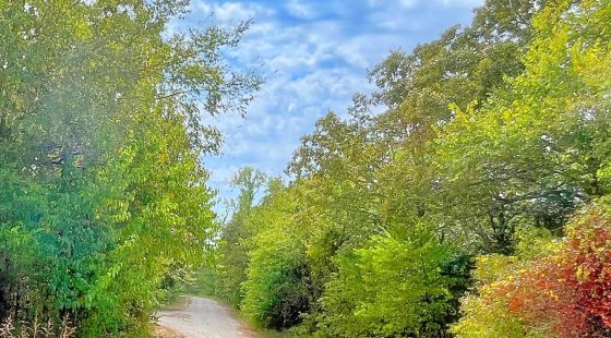 Where Family Memories Meet Lake Life in Izard County, AR
