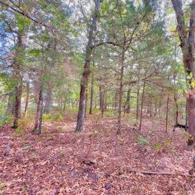 Where Family Memories Meet Lake Life in Izard County, AR