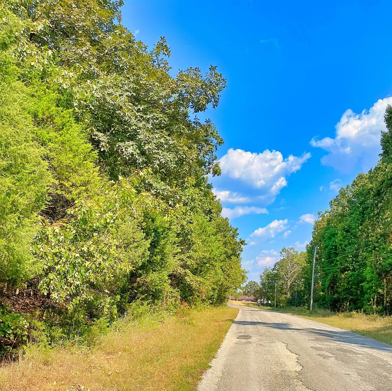 Peace of Mind Made Affordable – 0.41-Acre Wooded Lot One Block from Cedar Glade Lake in Izard County, AR