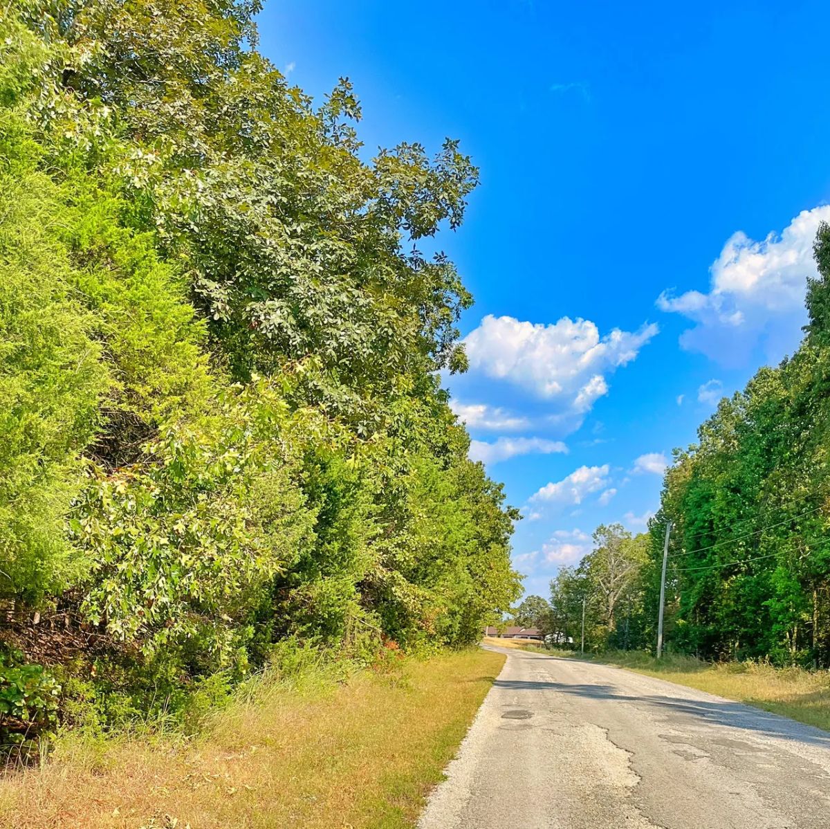 Peace of Mind Made Affordable – 0.41-Acre Wooded Lot One Block from Cedar Glade Lake - Image 2