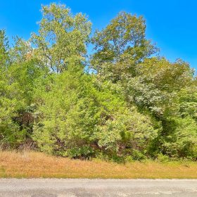 Peace of Mind Made Affordable – 0.41-Acre Wooded Lot One Block from Cedar Glade Lake in Izard County, AR