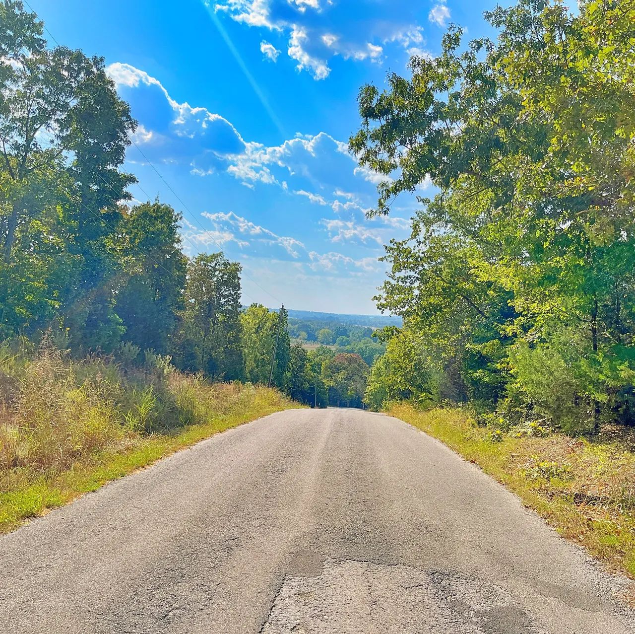 Peace of Mind Made Affordable – 0.41-Acre Wooded Lot One Block from Cedar Glade Lake in Izard County, AR